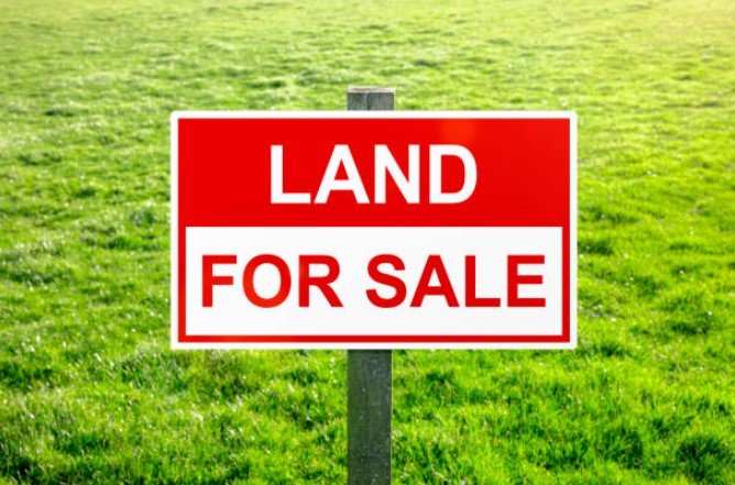 Land for Sale: A Comprehensive Guide to Buying, Investing, and Developing